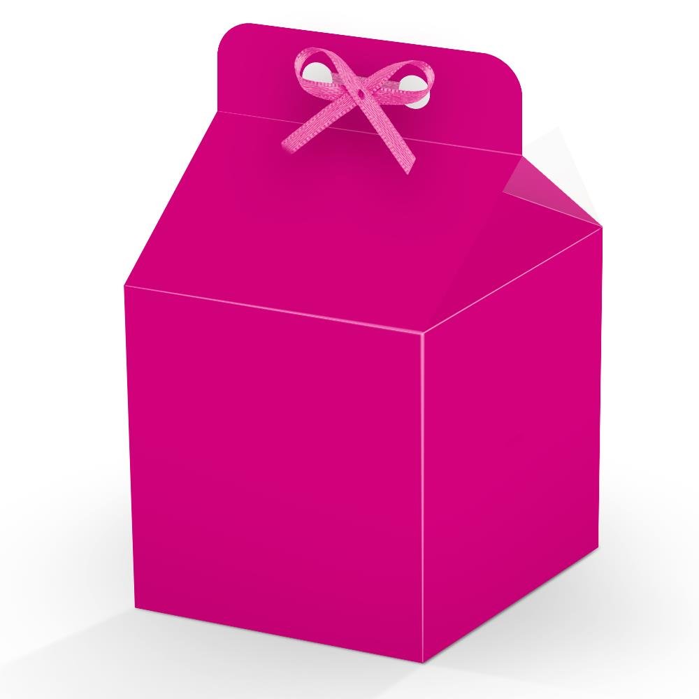 Caixa Milk de Papel Lisa Pink Junco 8 unidades