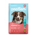 Ração Premium Especial Probem Cão Adulto Médio e Grande Porte Frango e Arroz 15kg