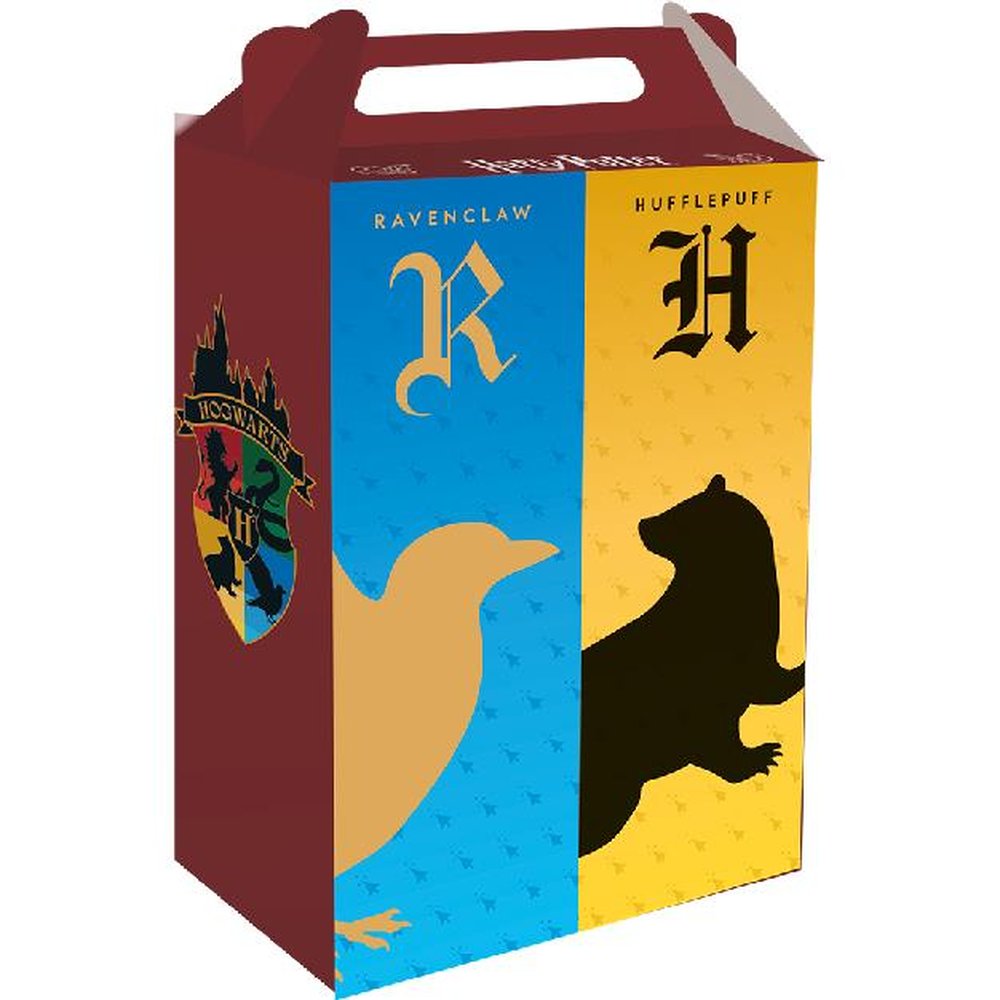 Caixa Surpresa Harry Potter