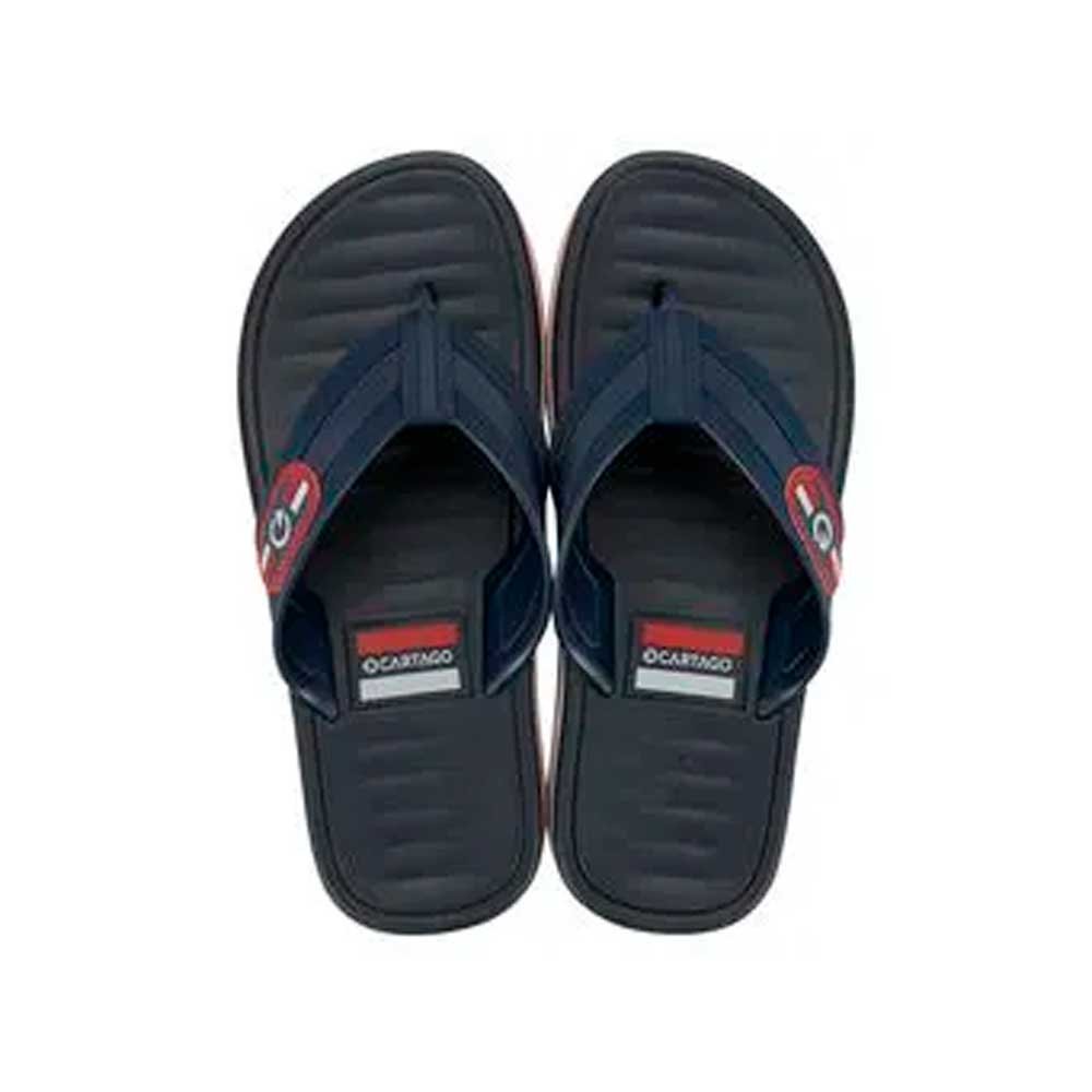 Chinelo Cartago Paris II 12214 Bc405 Cinza Azul Laranja G02155 37-44 com 12 Pares