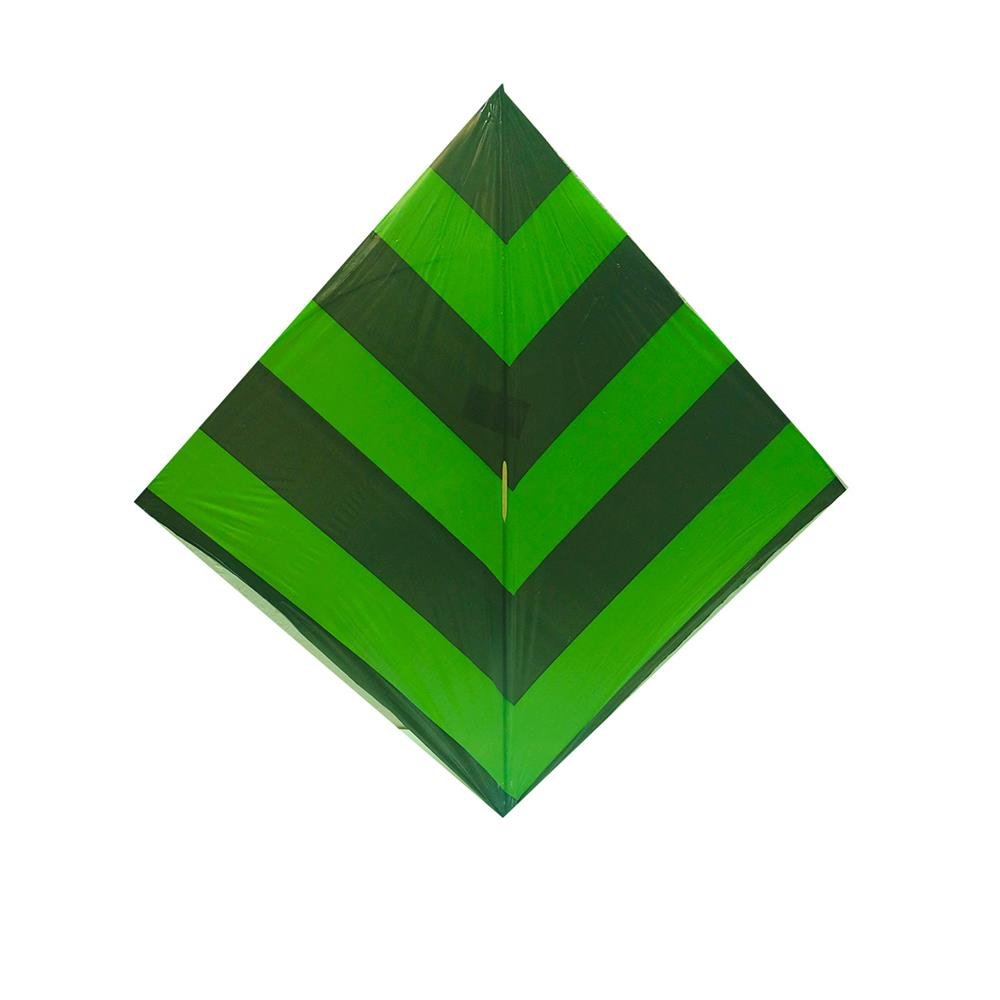 Papagaio Surecao Bora Ki Bora 35X35cm Sortido Com 12 Unidades