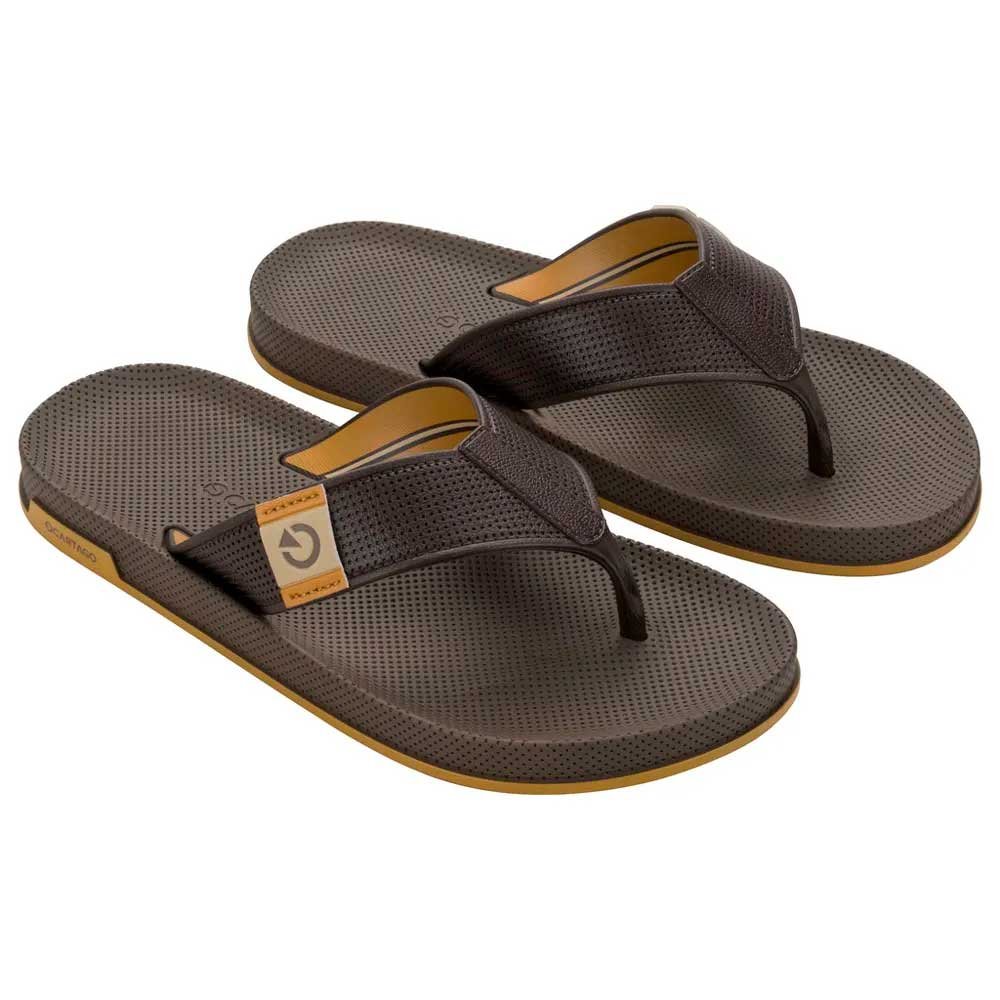 Cartago Siena IV 12398 Marrom Amarelo 37-44 com 12 Pares
