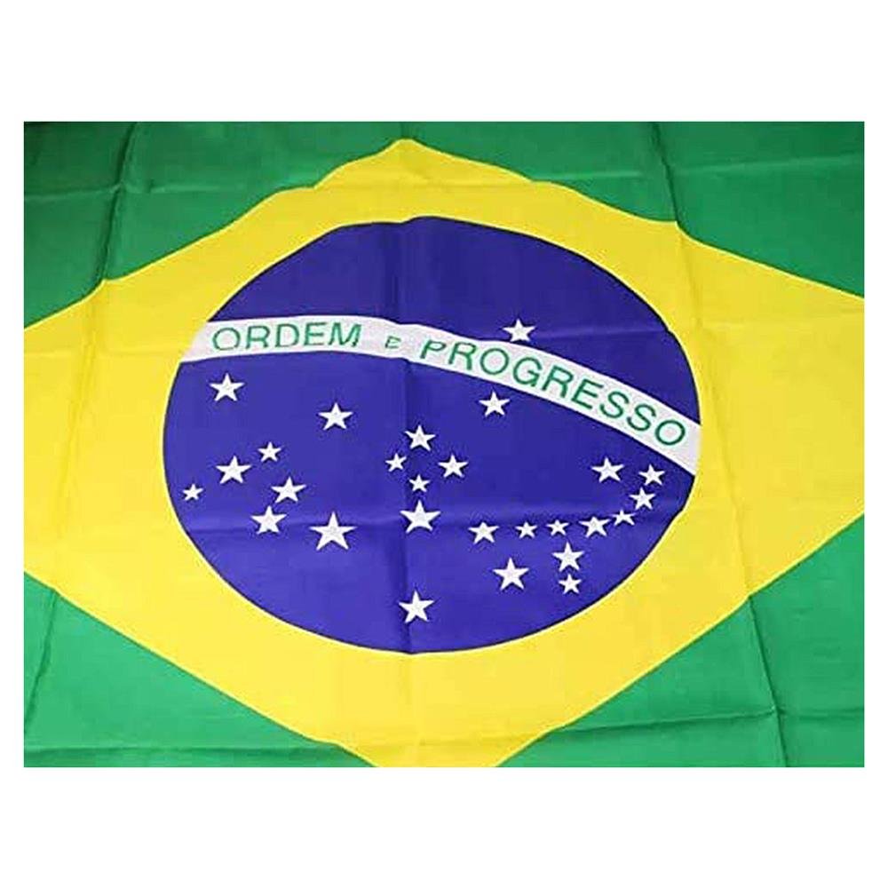 Bandeira Do Brasil 50X50 Cm