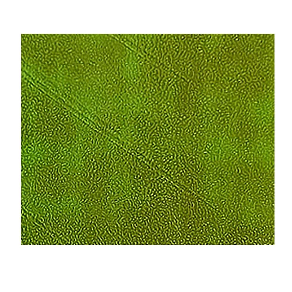 Papel Lamicote Holografico Verde A4 250G C/10 Fls