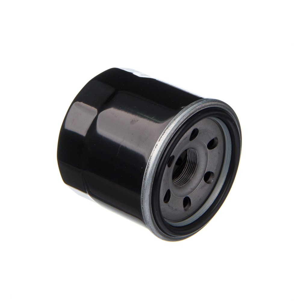 Filtro De Oleo Eis Suz-Bandit 650S 09-10 Bandit N1200 04-06