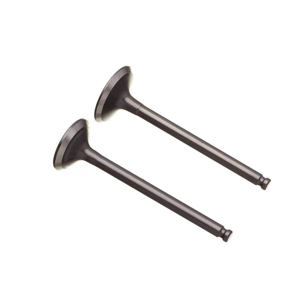 Valvula Adm/Esc. (Par) Ww3 Crypton 115/105