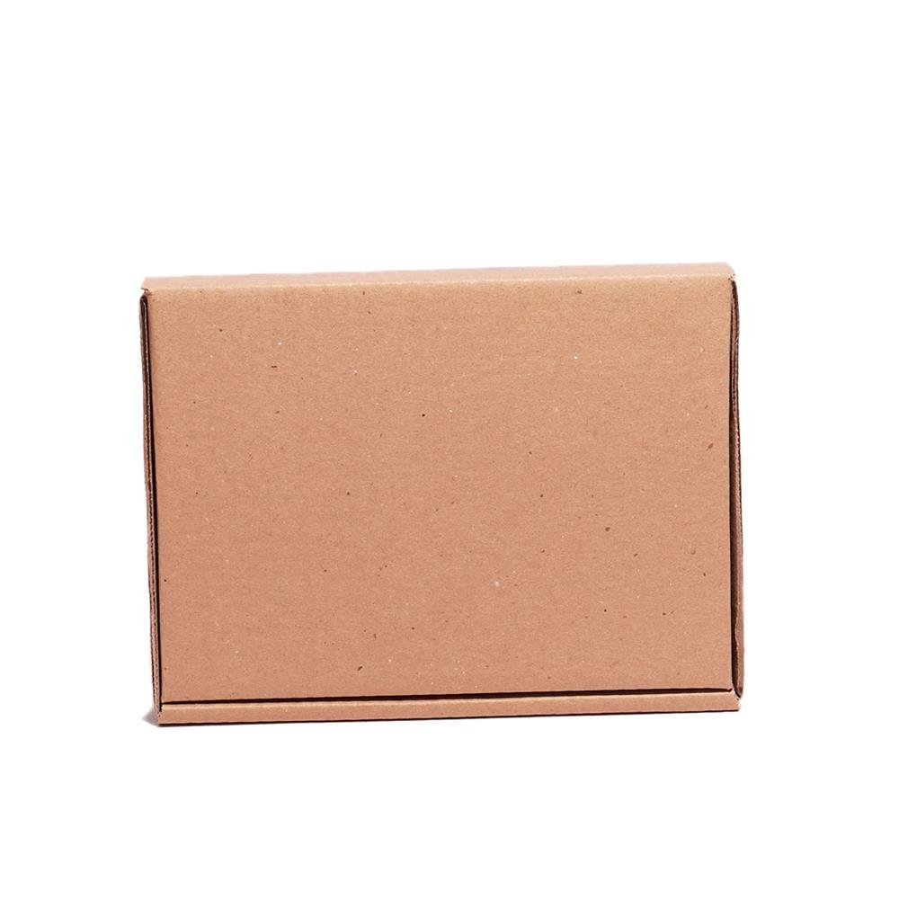 Caixa Modelo Econômica Mini Envios para Correspondências ¿ Pacote com 100 Unidades ¿ Medidas Internas 21x15x4 cm - Código 101607E100