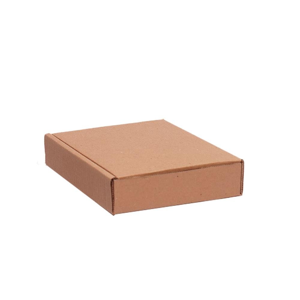 Caixa Modelo Econômica Mini Envios para Correspondências ¿ Pacote com 100 Unidades ¿ Medidas Internas 21x15x4 cm - Código 101607E100