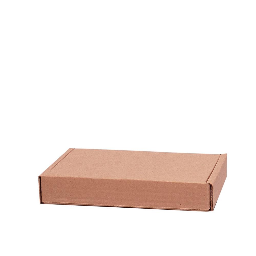Caixa Mini Envios Para Correspondência E3 Embalagens - Pacote com 50 Unidades - Medidas Internas 21x15x4 cm - Código 5160750