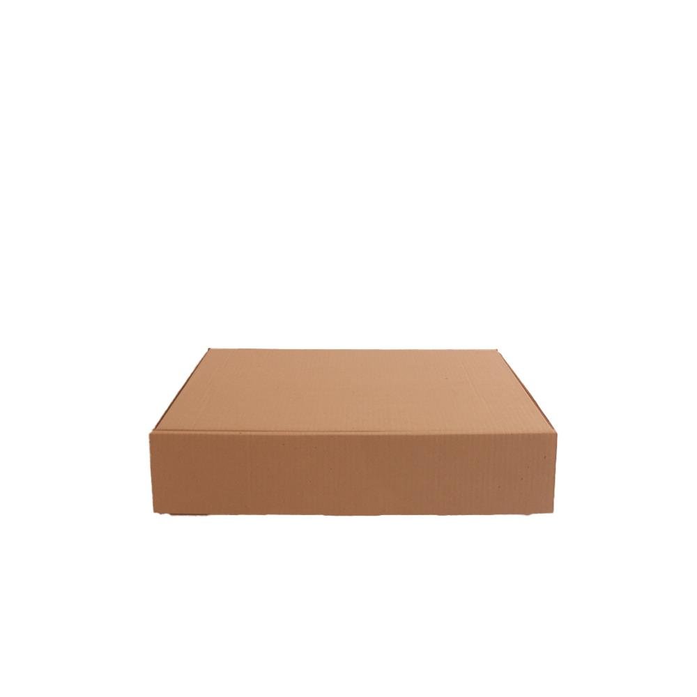 Caixa Modelo Econômica Para Correspondência E3 Embalagens - Pacote com 50 Unidades ¿ Medida Internas 47x31x10 cm - Código 52012E50