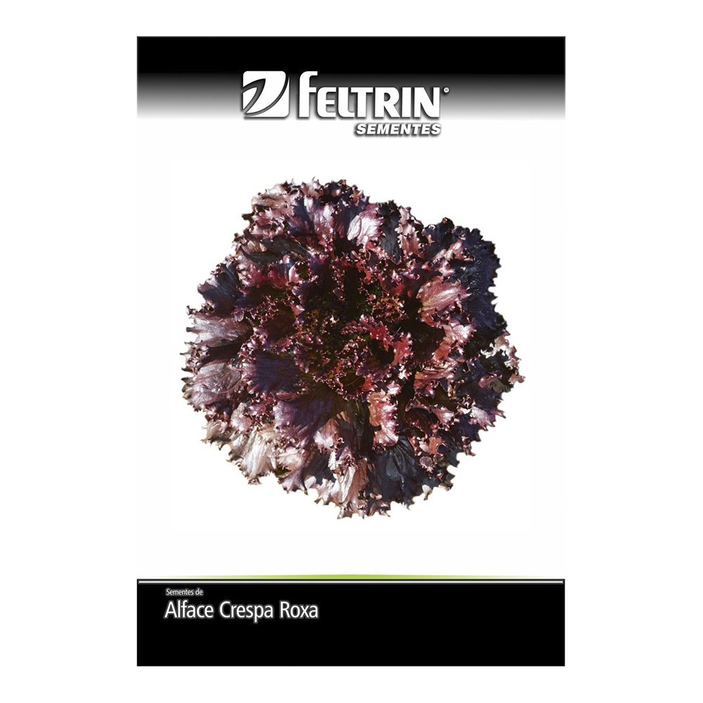 Semente de Alface Carmela Crespa Roxa Feltrin 700mg - Embalagem com 25 Unidades