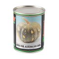 SEMENTES ABOBORA XINGO JACAREZINHO CASCA GROSSA FELTRIN 50G LATA