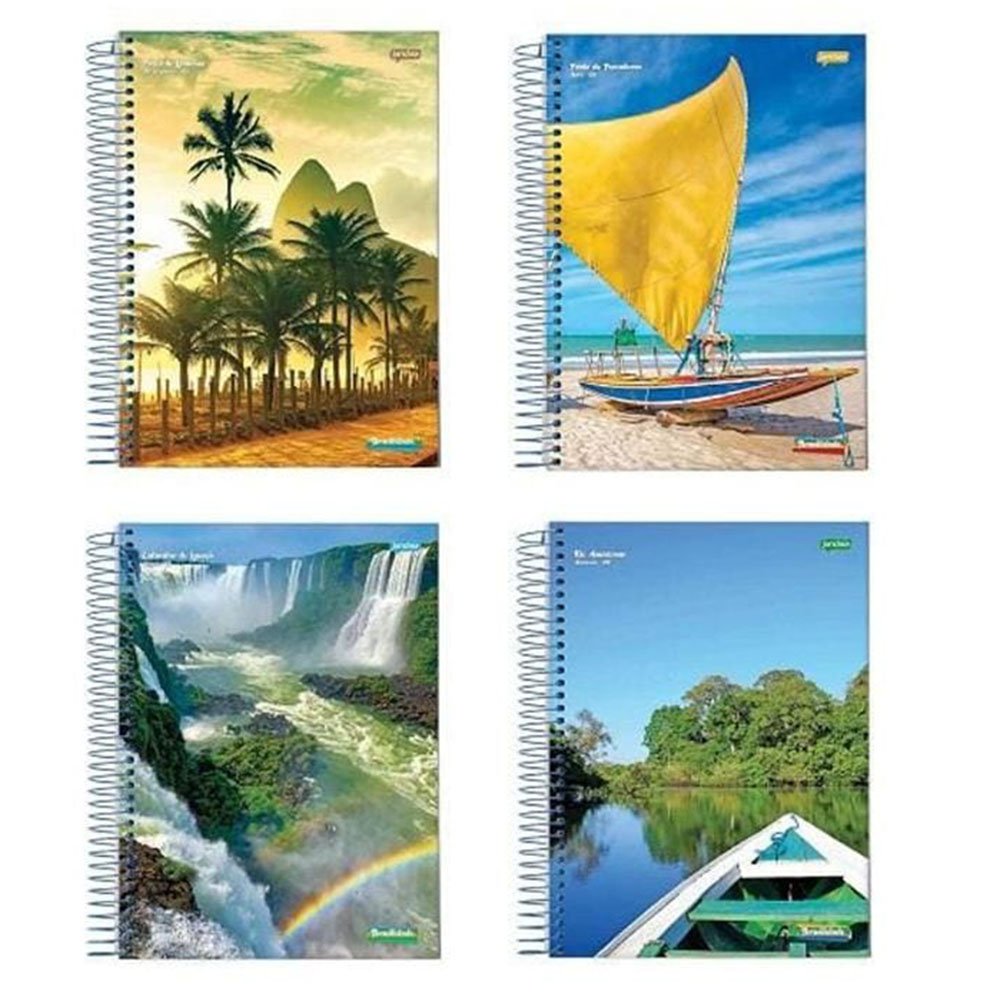 Caderno Universitário 15 Materia 300 Folhas Brasilidade Jandaia Sortido