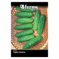 Semente de Pepino Pioneiro Feltrin - Embalagem com 25 Unidades