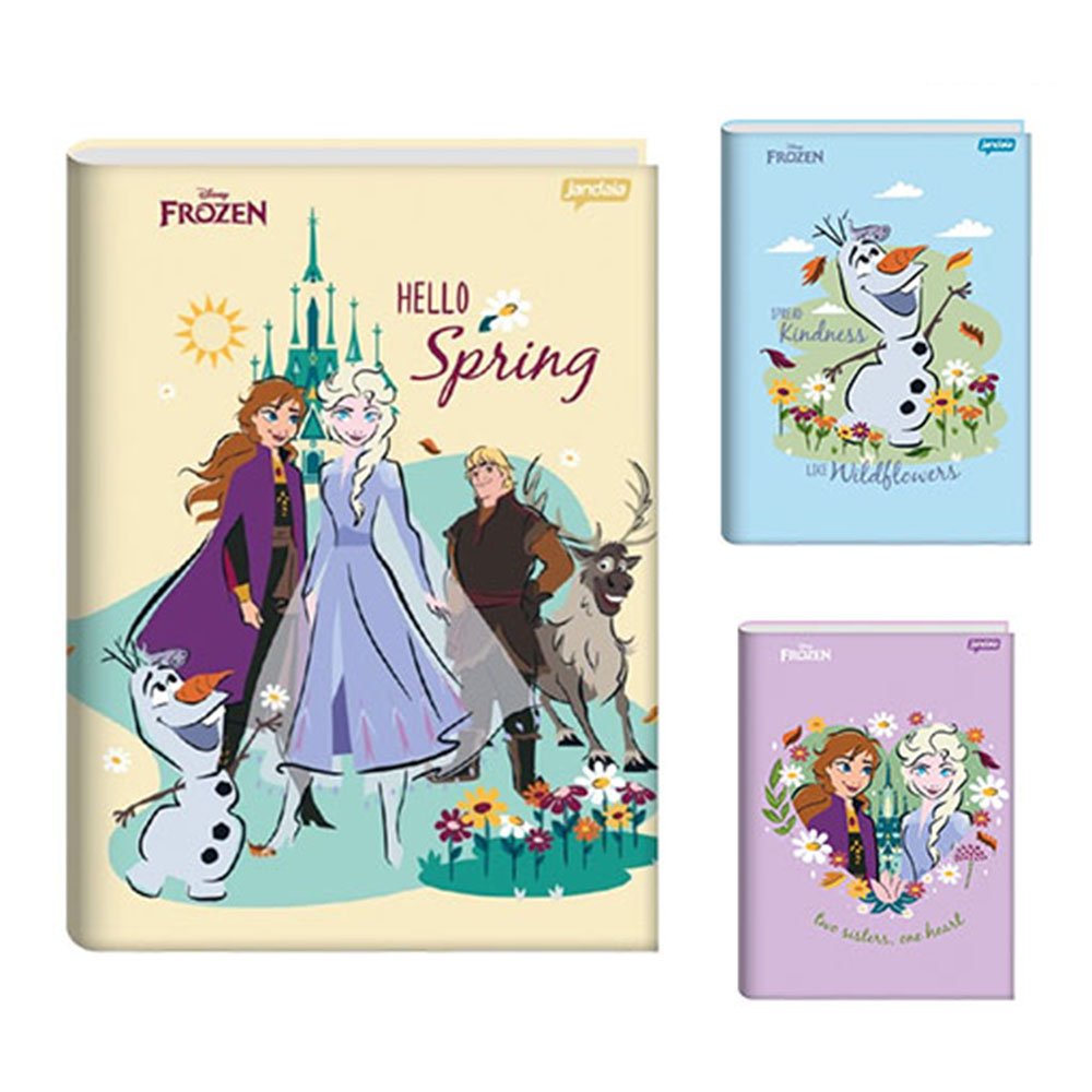 Caderno Brochura 1/4 Capa Dura 80 Folhas Frozen Jandaia Sortido