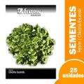 Sementes de Chicória Gigante Barbarela Feltrin 700mg - Embalagem com 25 Unidades