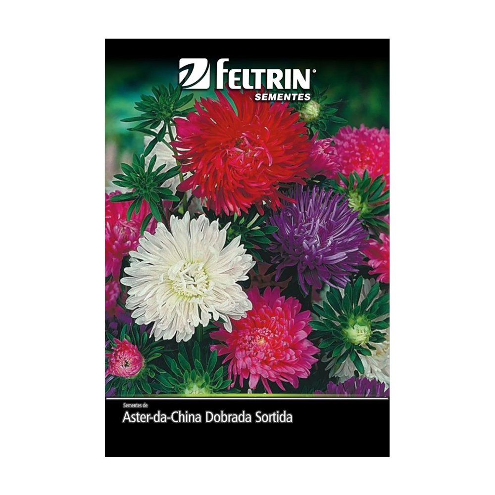 Sementes de Flor Aster da China - Dobrada Sortida Americana Bonsai Feltrin 350mg - Embalagem com 20 Unidades