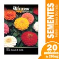 SEM.FL.ZINIA DOB.DAHL.FEL.20X1