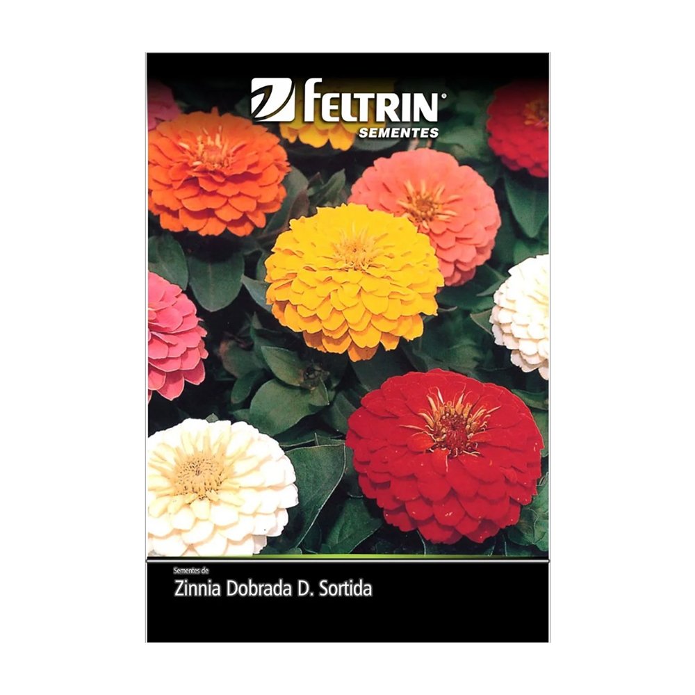 SEM.FL.ZINIA DOB.DAHL.FEL.20X1