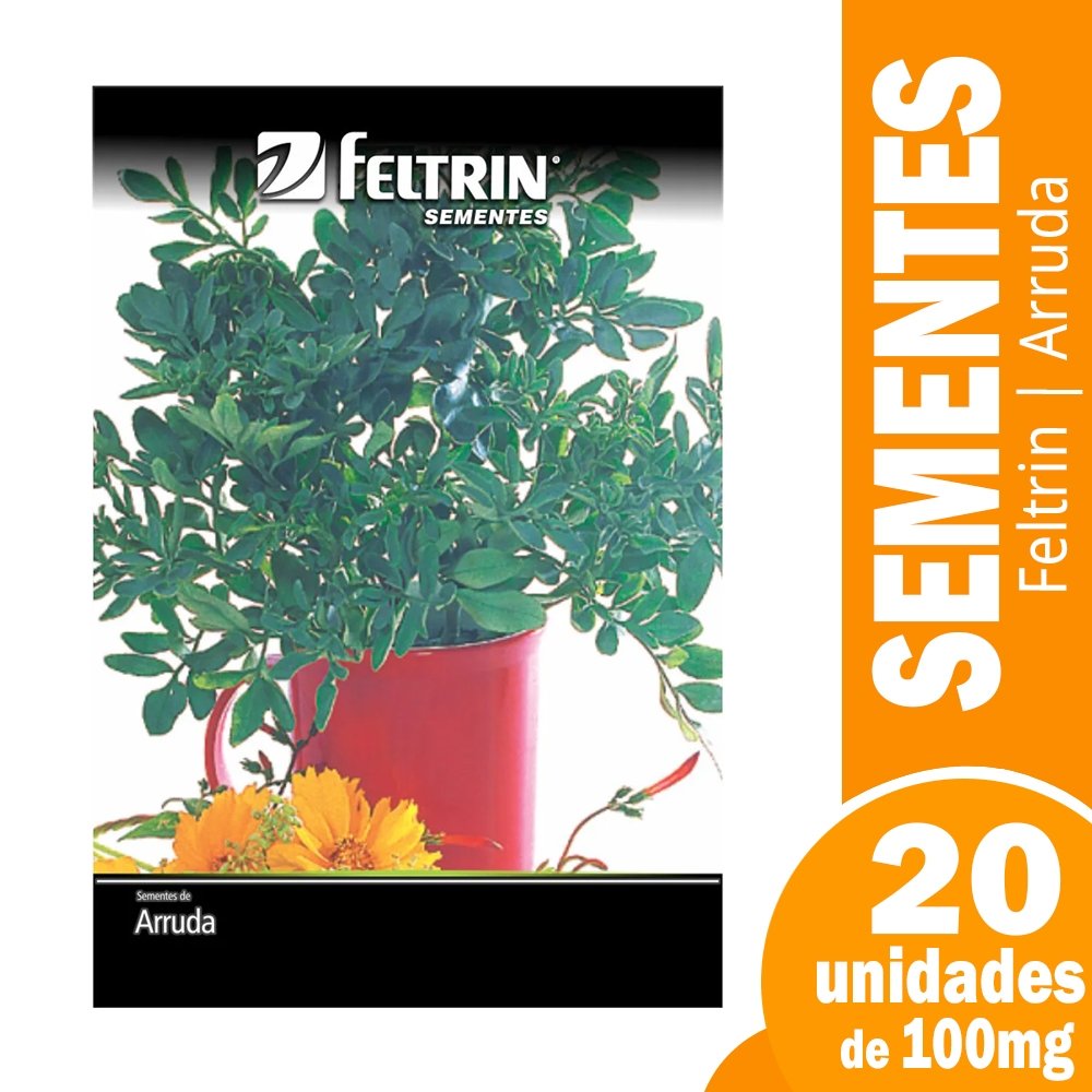 SEM.ARRUDA FEL.20X1