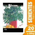 SEM.ARRUDA FEL.20X1