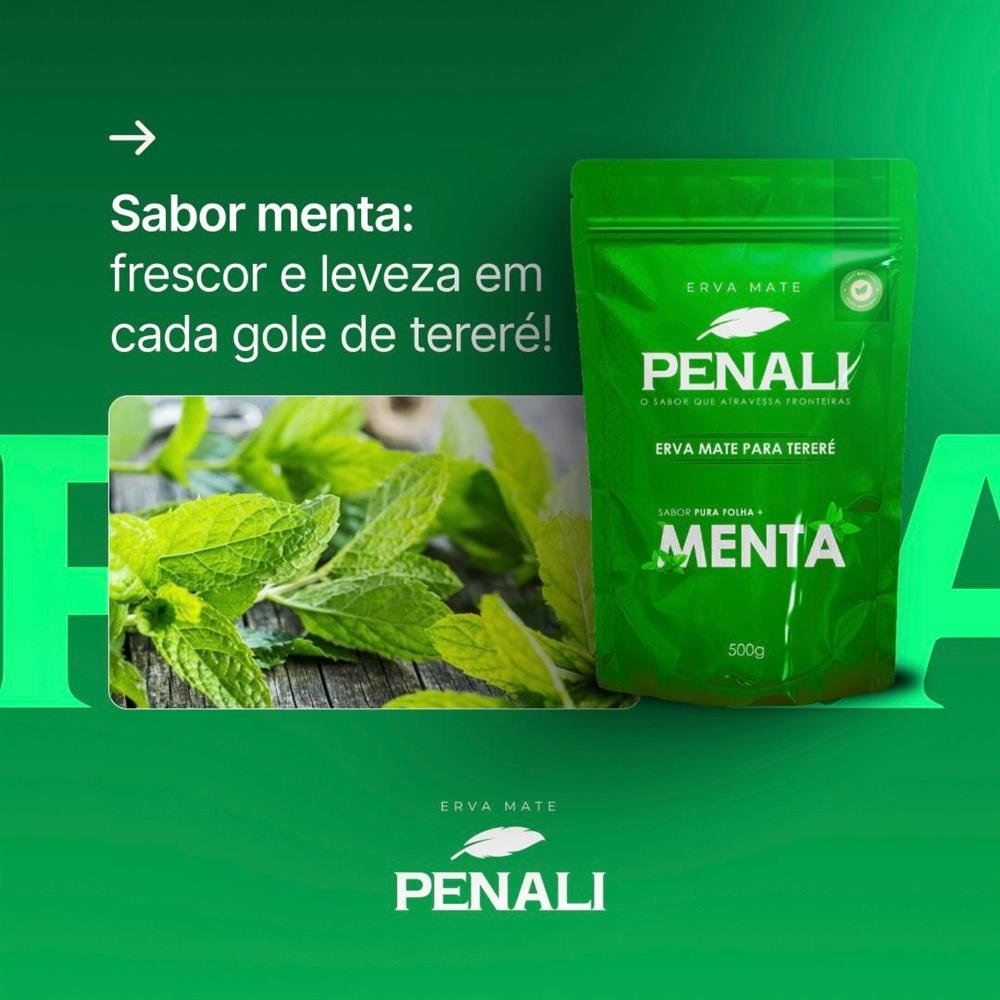 Erva Mate Para Tereré - Menta