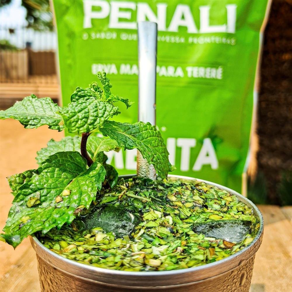 Erva Mate Para Tereré - Menta