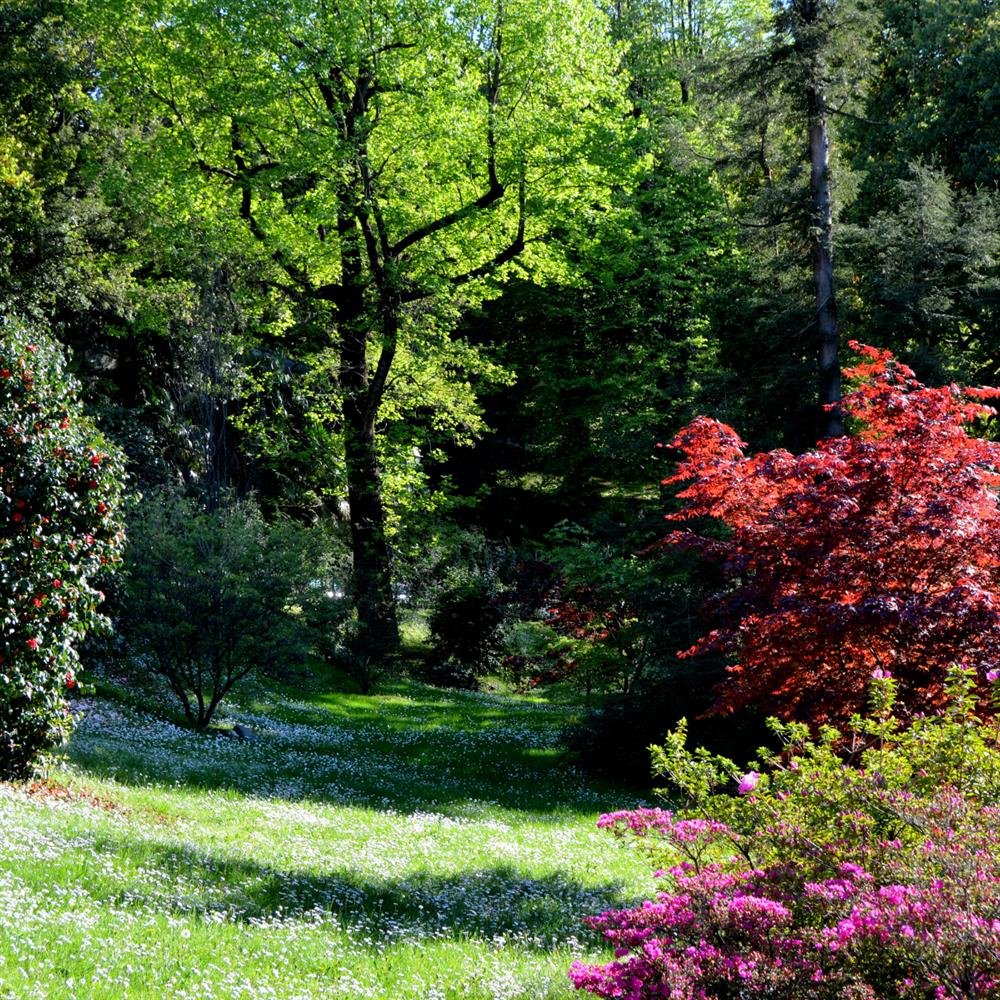 Terra Vegetal Novo Ciclo - Adubação Orgânica de Vasos Ornamentais, Jardins, Frutíferas e Gramados- Pacote 9L
