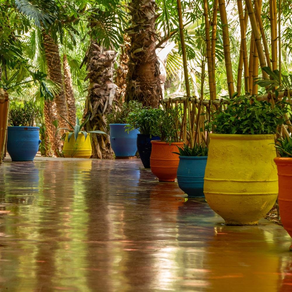 Esterco Novo Ciclo - Nutrientes Essências Para Suas Plantas - Pacote de 36 Litros