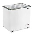 Freezer Horizontal EOS EEH200XX 138 L 2 Portas Branco