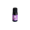 Óleo Essencial De Palmarosa - Sétimo Chakra - Coronário (Sahasrara) - Vidro Roxo - 10ml