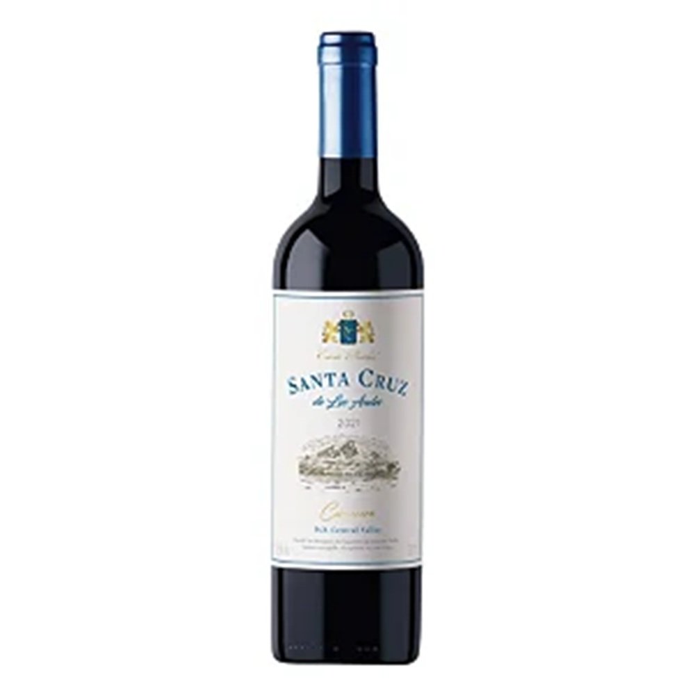 Vinho Santa Cruz De Los Andes Vinho Pinot Noir 2023