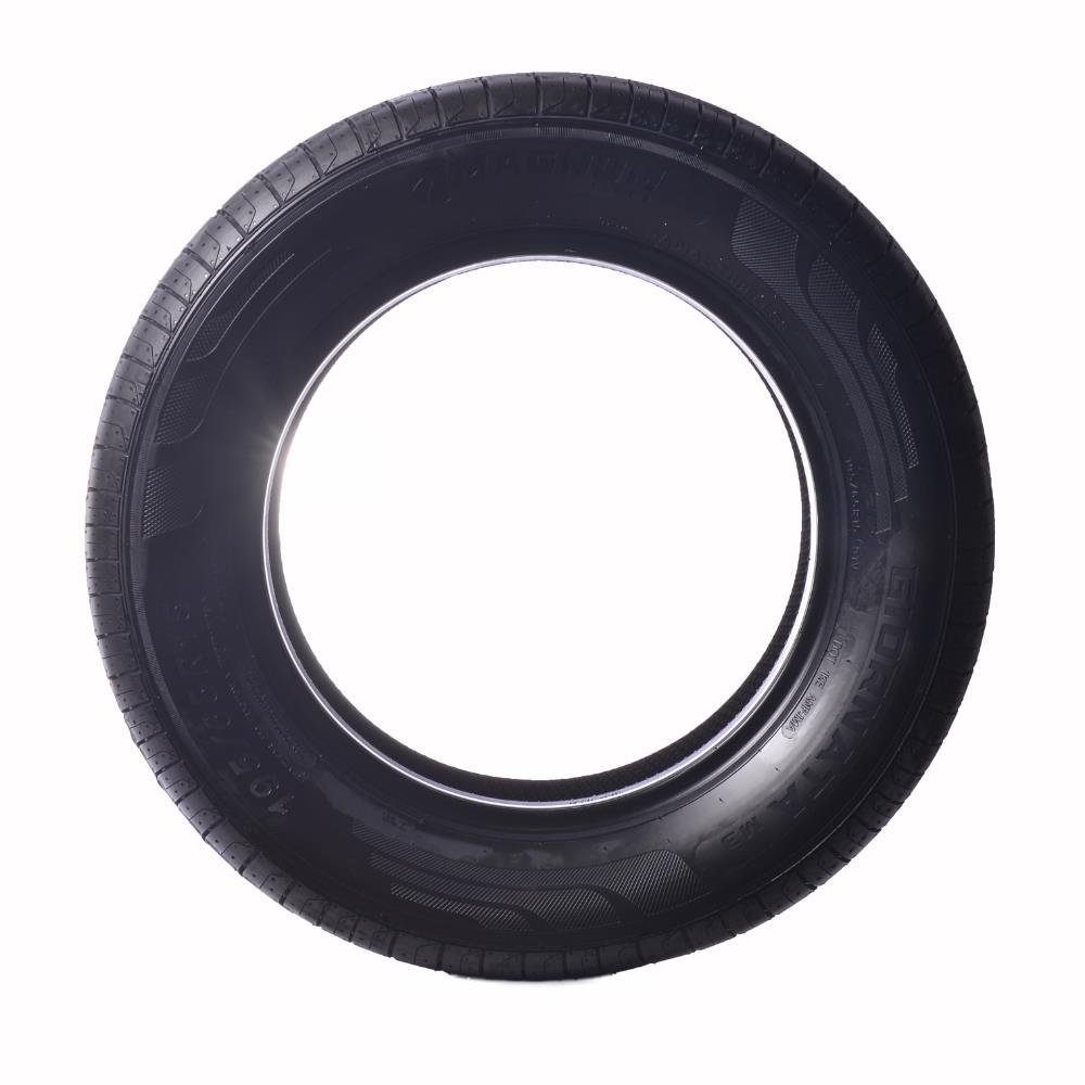 Pneu Aro 15 Magnum Tires 195/60R15 Giornata M3 88V