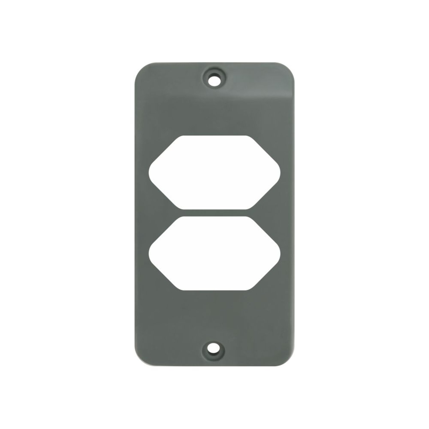 Tampa Grande 2 Teclas Horizontal Cinza 1"