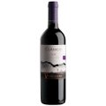 Vinho Chileno Ventisquero Clasico Syrah Tinto 750ml