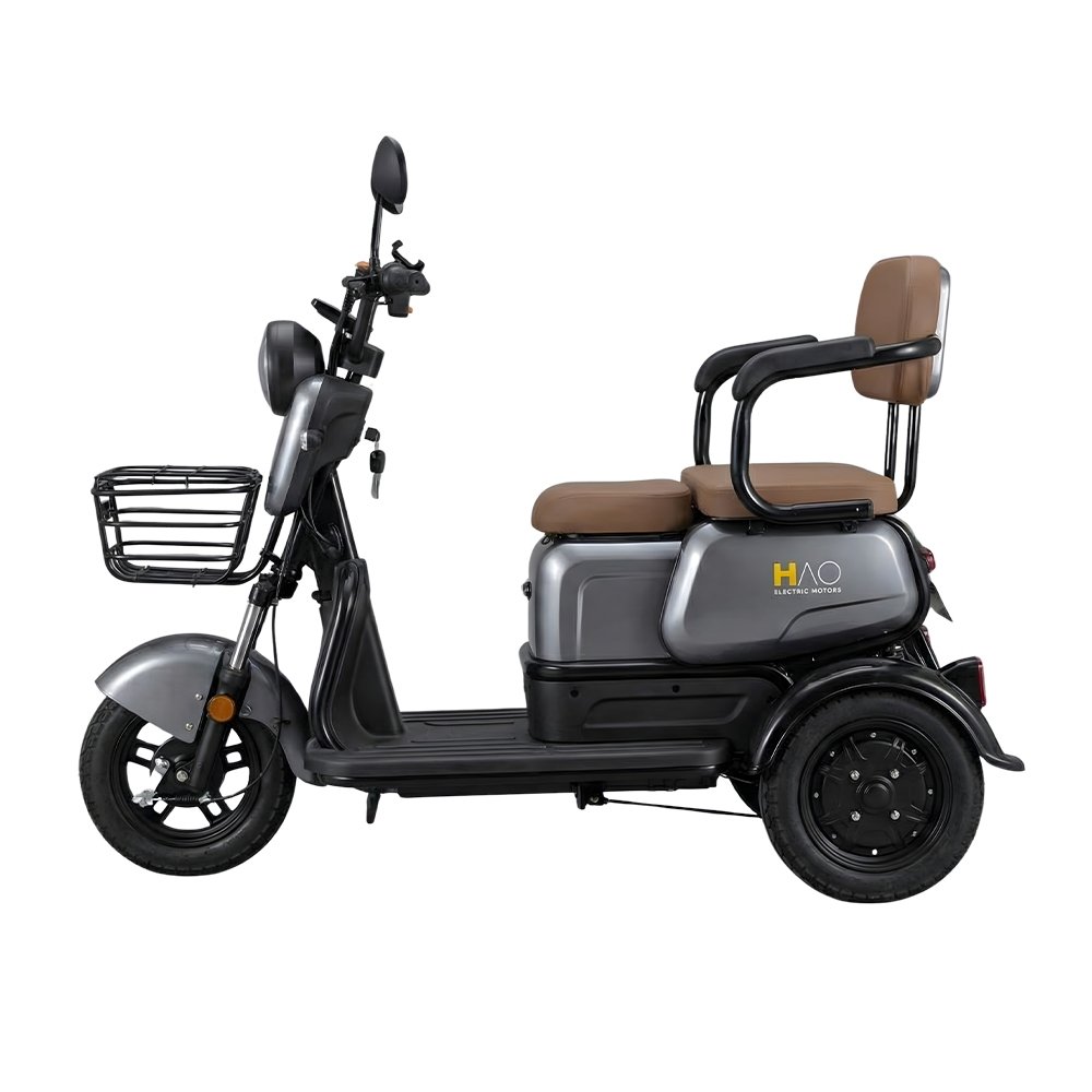Bicicleta Elétrica HAO Triciclo Retrátil 1000W 30KH/H Capacidade 180Kg Cinza Bivolt