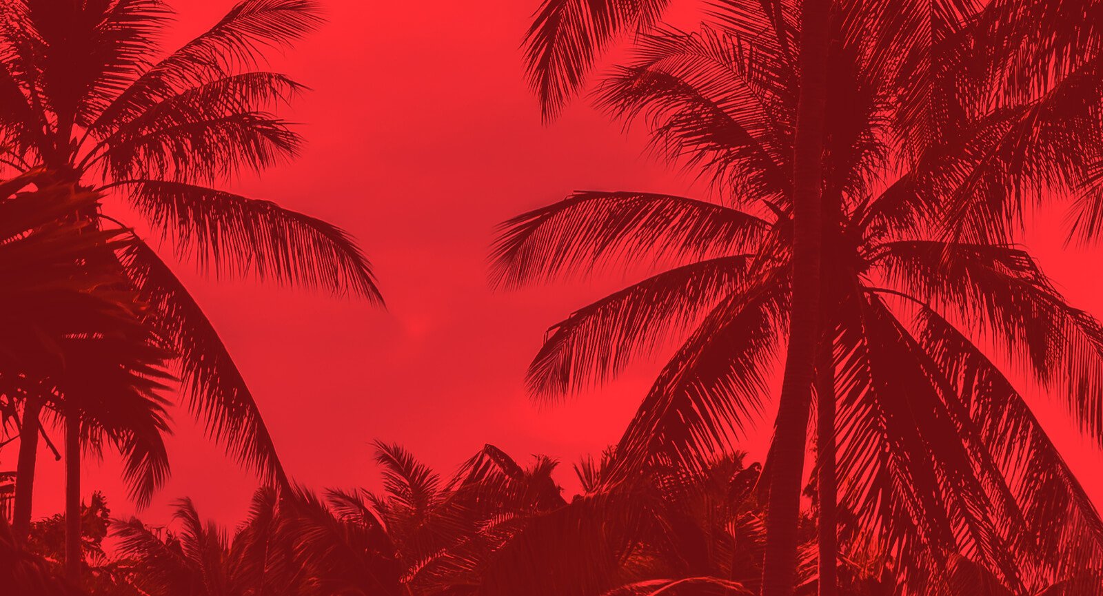 Silhueta de coqueiros escuros em fundo vermelho integrando a identidade da Havaianas.