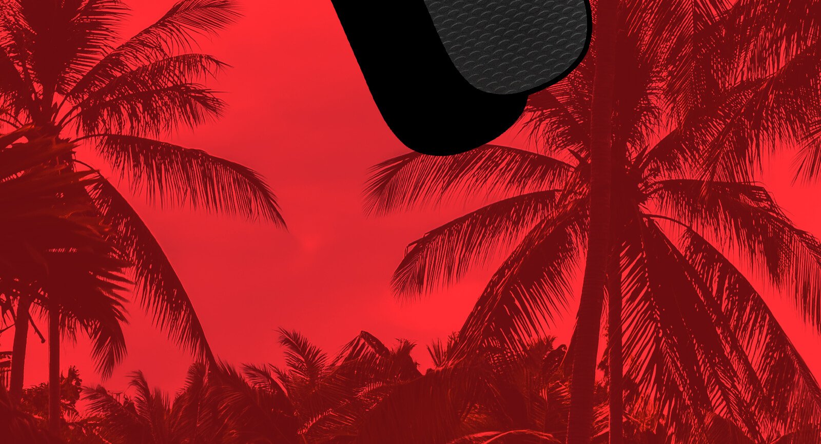 Chinelo Havaianas Kids Color preto  detalhe calcanhar solado borracha cenário tropical.