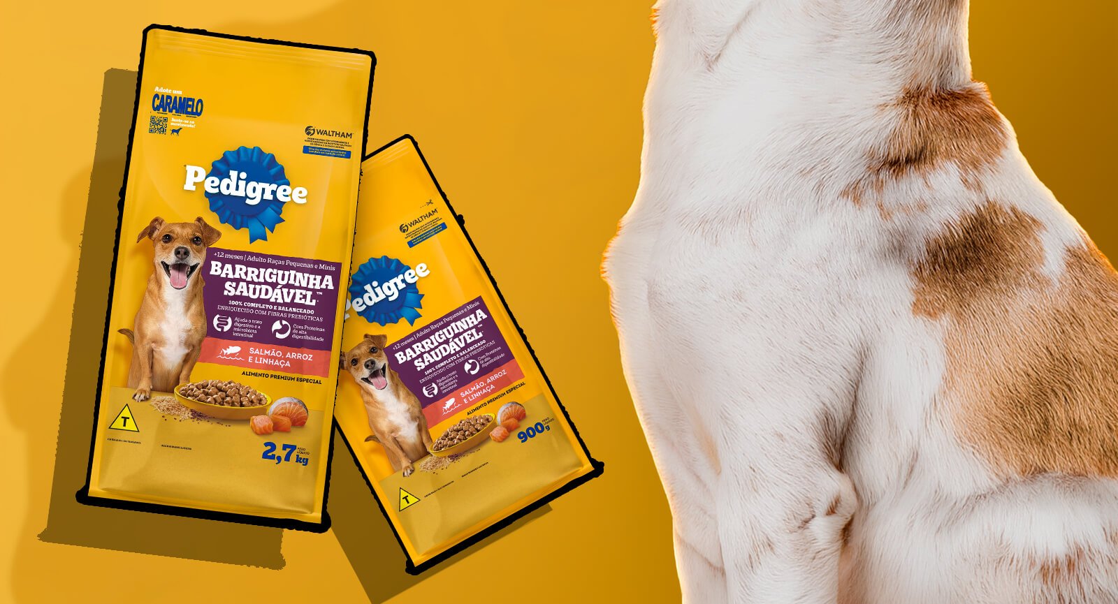 Tigela madeira ração seca duas embalagens pedigree Superfoods Adultos Salmão Linhaça fundo roxo