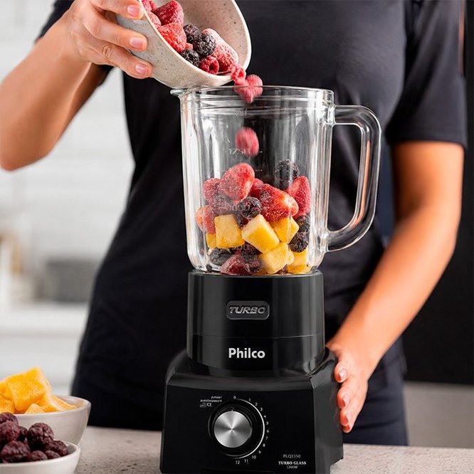 Lâminas da Tecnologia Pro Maxx 6 do Liquidificador Philco PLQ1350