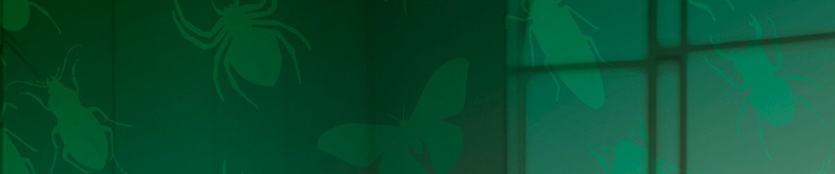 Fundo verde silhuetas insetos aranhas baratas. Identidade visual multi inseticida Kelldrin.