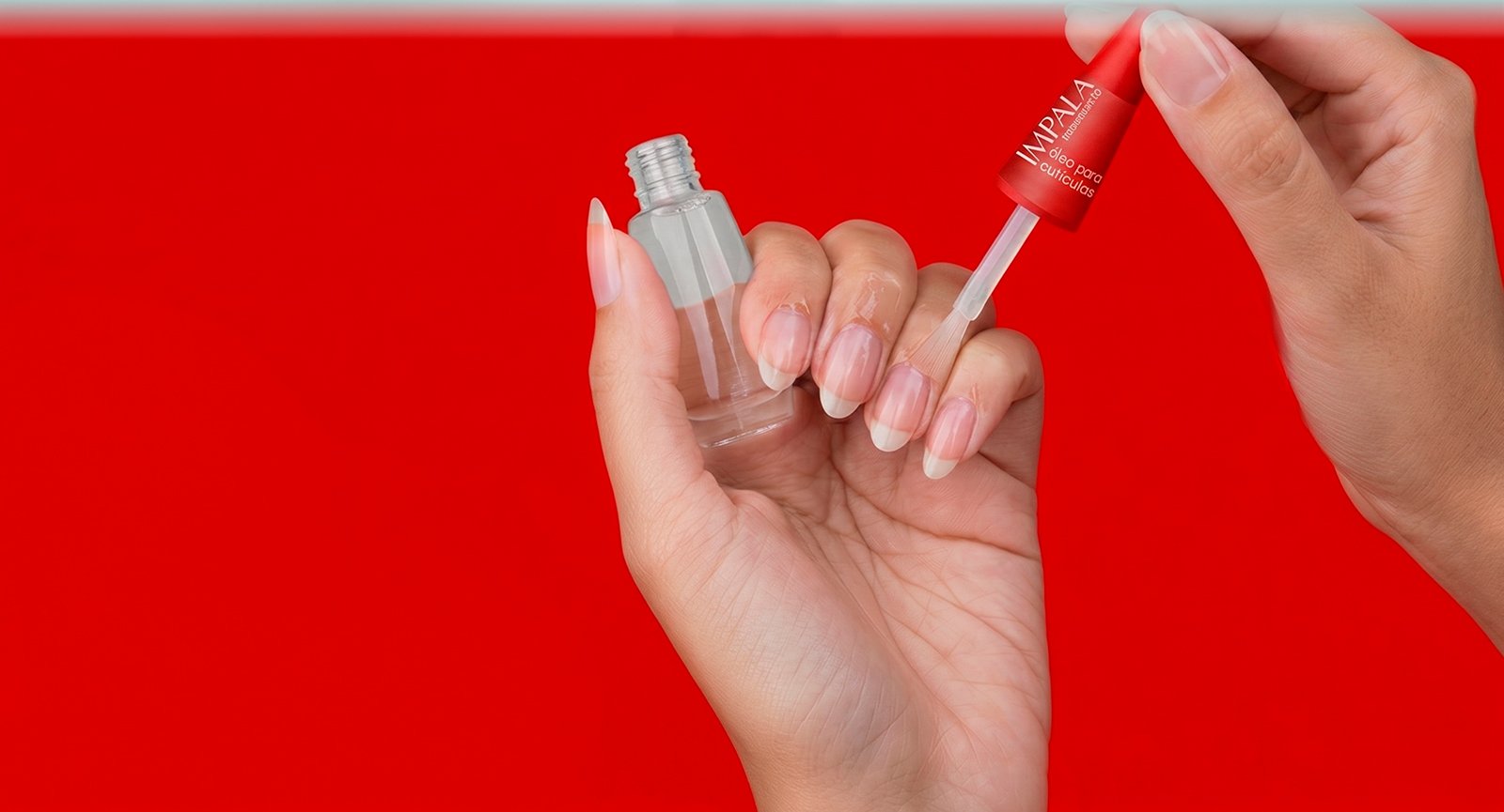 Mão segurando Óleo para Cutículas Impala Tratamento com unhas esmaltadas em roxo escuro brilhante