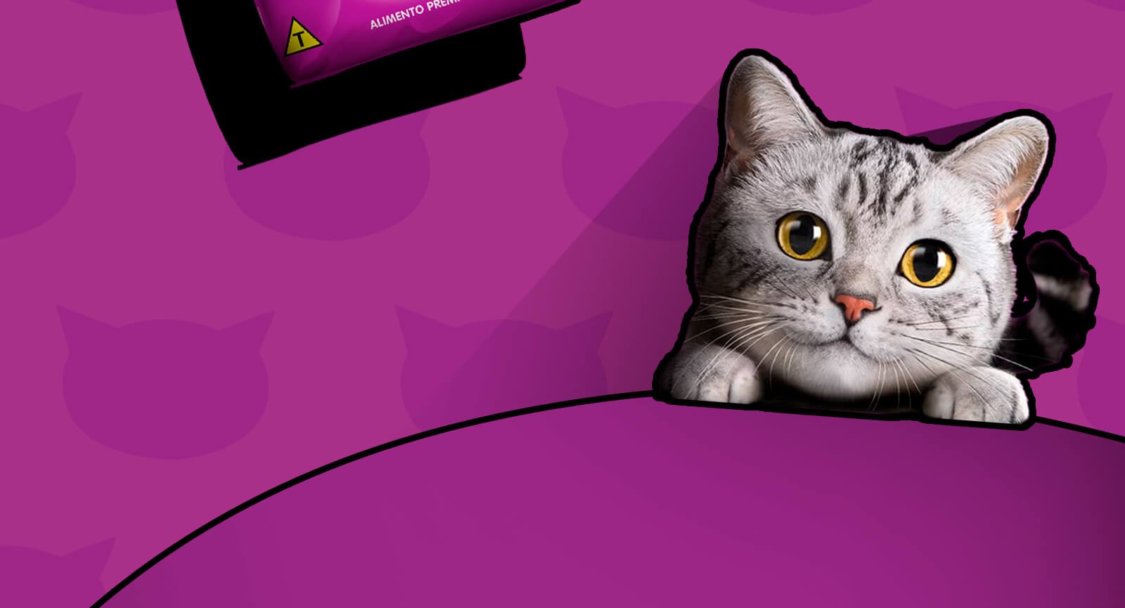 Gato cinza olhando sobre fundo roxo embalagem alimento seco Whiskas