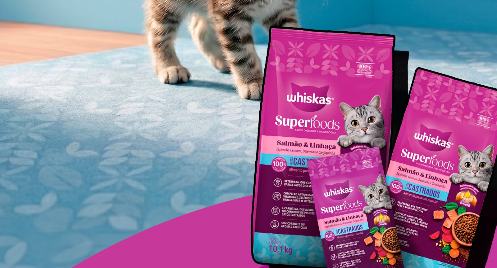 Gato caminhando tapete azul duas embalagens Ração Whiskas Superfoods Castrados Salmão Linhaça