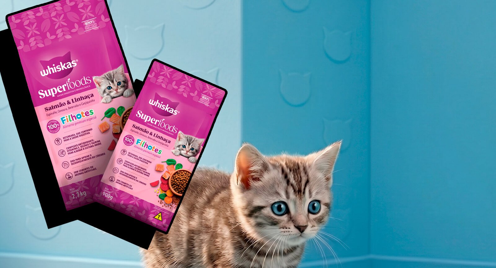 Gatinho cinza filhote ao lado embalagens Ração Whiskas Superfoods Filhotes Salmão e Linhaça fundo azul